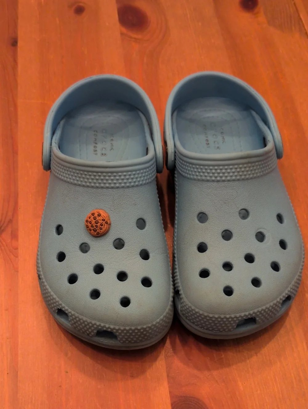 CROCS Kids Lt Blue Classic Clog Sandals Includes 1 Cookie Jibbit